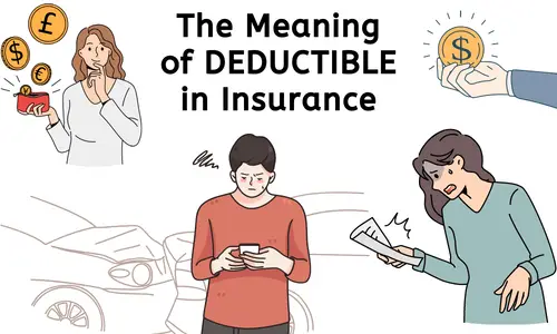 Explaining key insurance terms: premiums, deductibles, coverage, etc.
